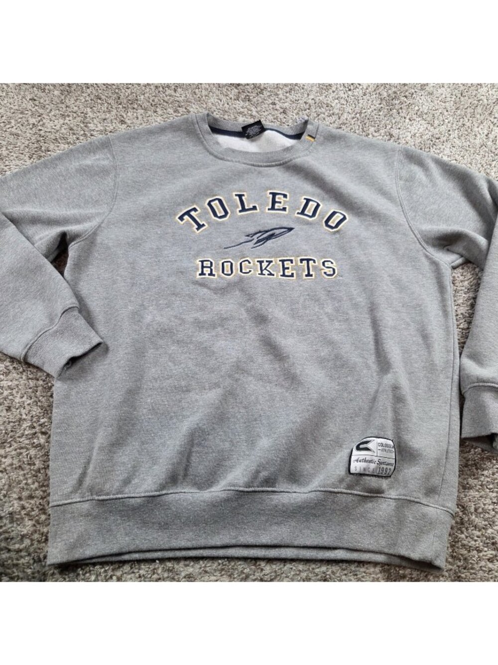Toledo Rockets Sweatshirt Mens XL Gray Long Sleeve Pullover Embroidered Champion